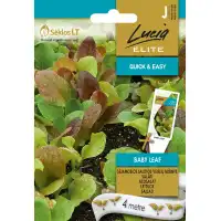 Семена на Лента за Микс Салати Бейби лийф Lactuca sativa L Baby leaf