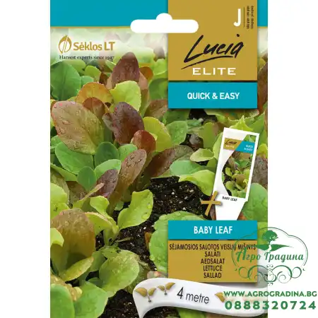 Семена на Лента за Микс Салати Бейби лийф / Lactuca sativa L Baby leaf