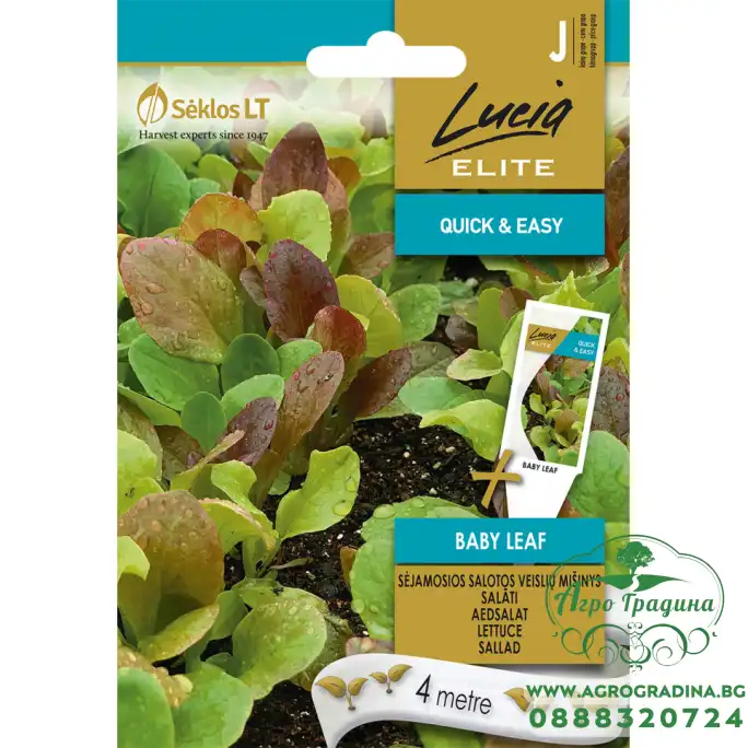 Семена на Лента за Микс Салати Бейби лийф Lactuca sativa L Baby leaf
