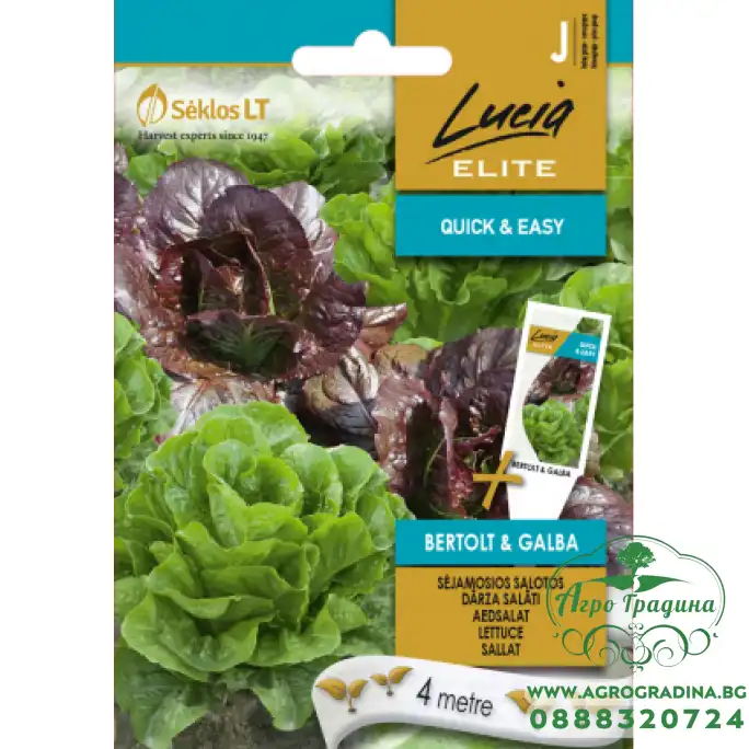Семена на Лента от марула и салата микс Bertolt and Galba Семена на Лента от марула и салата микс Bertolt and Galba