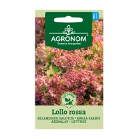 Салата Лоло Роса / Lollo Rossa