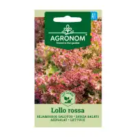 Салата Лоло Роса / Lollo Rossa