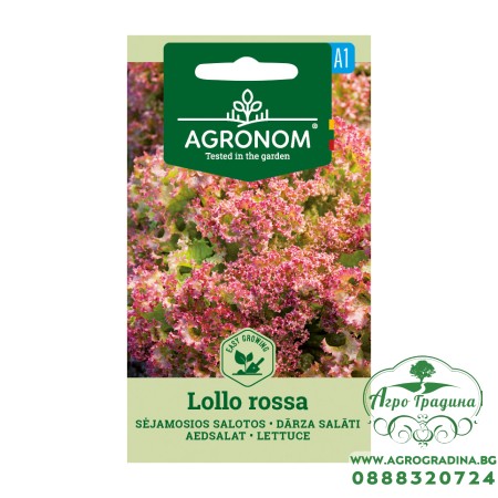 Салата Лоло Роса / Lollo Rossa