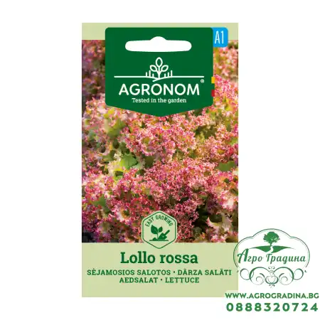 Салата Лоло Роса Lollo Rossa
