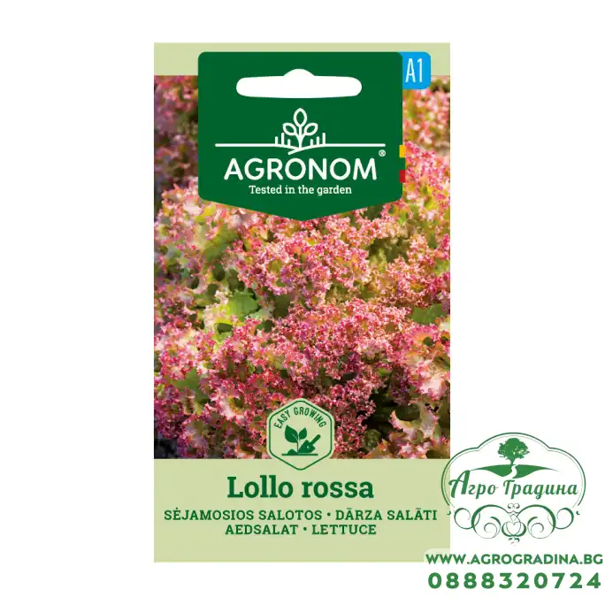 Салата Лоло Роса Lollo Rossa Салата Лоло Роса Lollo Rossa