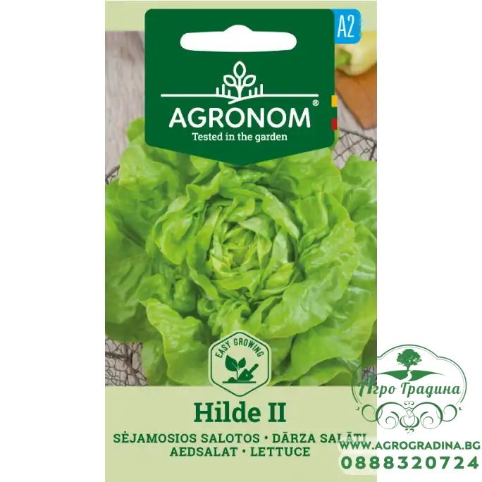 Салата Хилде II Hilde Салата Хилде II Hilde