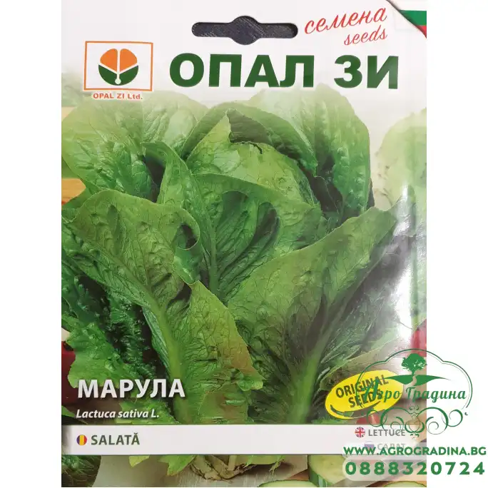 Маруля Валмаин