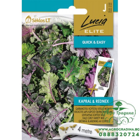 Семена на лента Кейл Микс Капрал и Реднекс / Kapral and Rednex