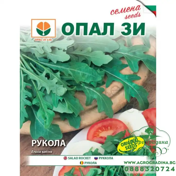 Рукола Рукола