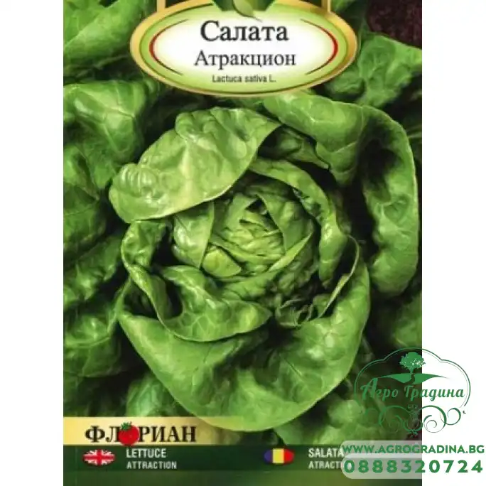 Салата Атракцион - крехка и вкусна