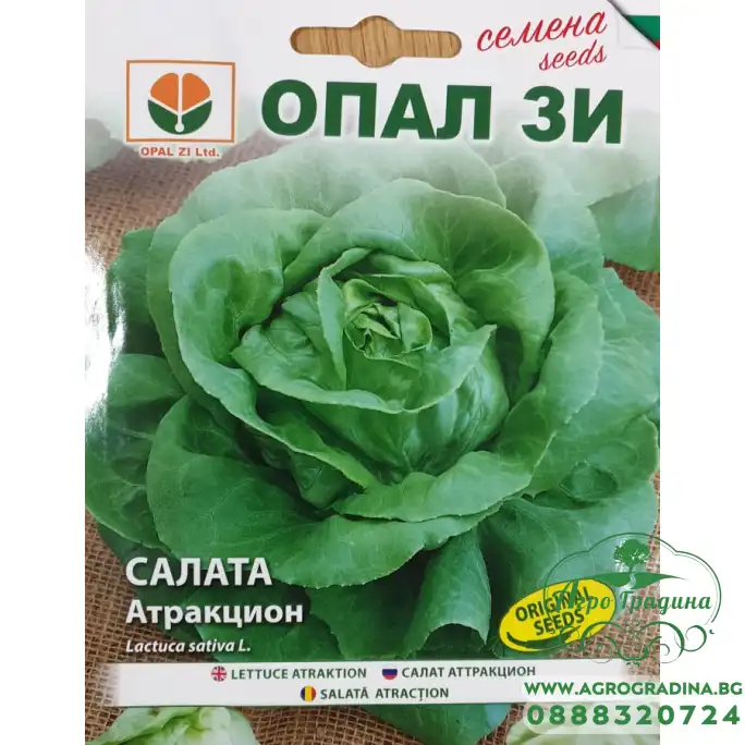 Салата Атракцион - крехка и вкусна Салата Атракцион - крехка и вкусна