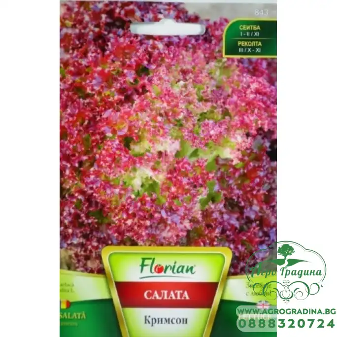 Салата Кримсон (тип Лоло Роса)