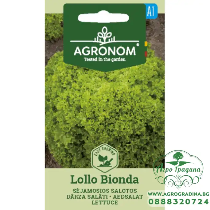 Салата Лоло Бионда Lollo Bionda