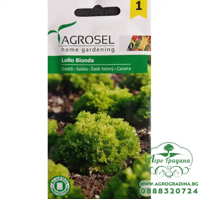 Салата Лоло Бионда