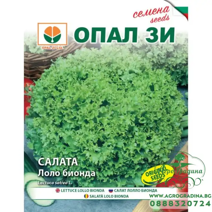 Салата Лоло Бионда Салата Лоло Бионда