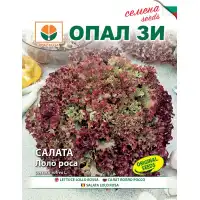 Салата Лоло Роса