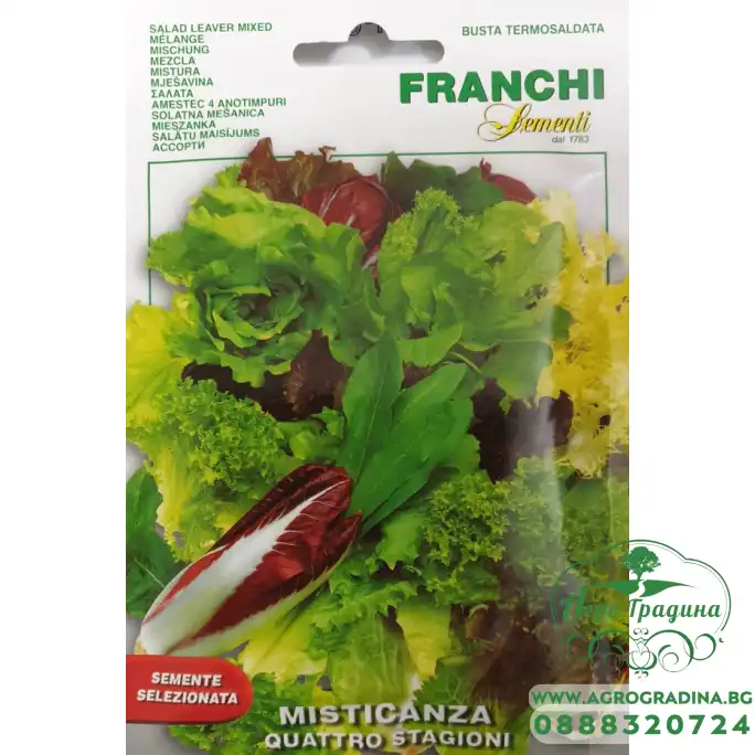 Салати микс четири сезона