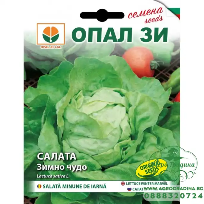 Салата Зимно чудо Салата Зимно чудо