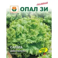 Салата Джентелина