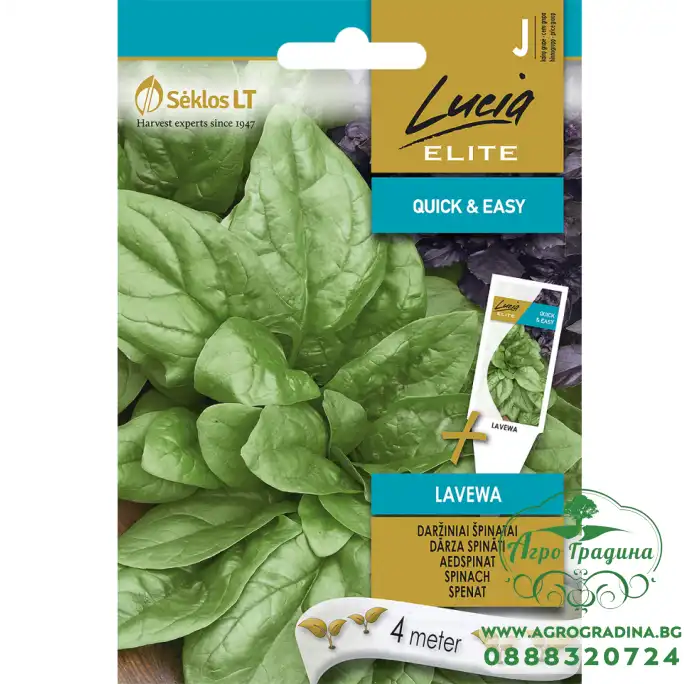 Семена на Лента Спанак Лавева Spinacia oleracea Lavewa Семена на Лента Спанак Лавева Spinacia oleracea Lavewa