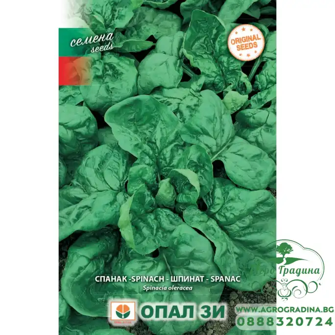 Спанак Зимен едър