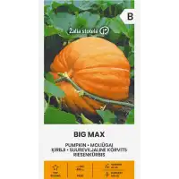 Тиква гигант Биг Макс / Cucurbita Maxima Duchesne 