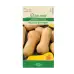 Тиква Бутернут (мускатна) Waltham Butternut