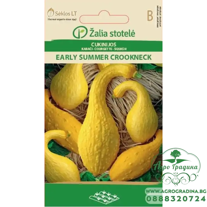 Тиква жълта извита (ранна лятна) / Early summer crookneck