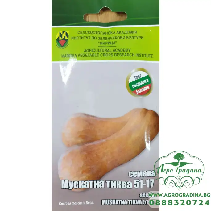 Тиква Мускатна ИЗК марица