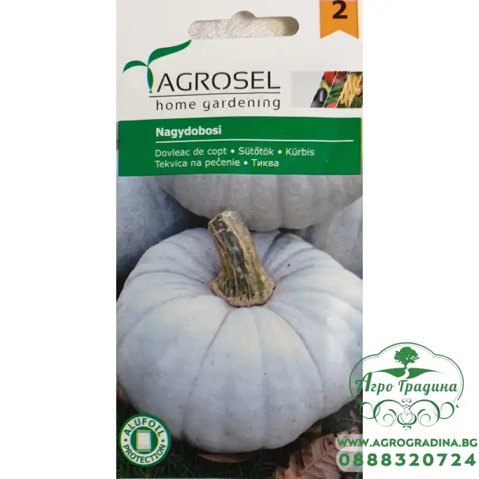 Тиква Nagydobosi (светло сива кора) Тиква Nagydobosi (светло сива кора)
