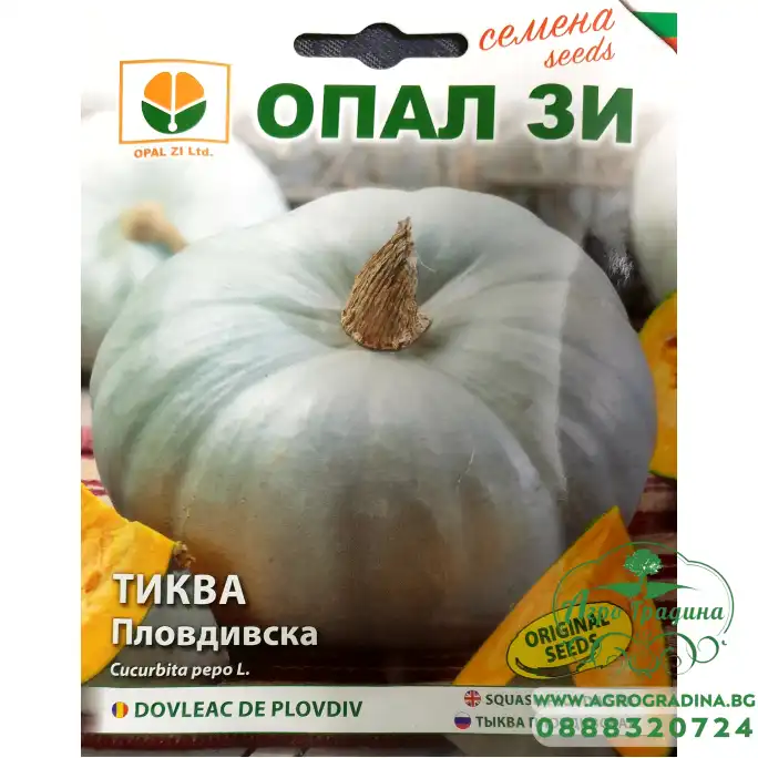 Тиква Пловдивска Тиква Пловдивска