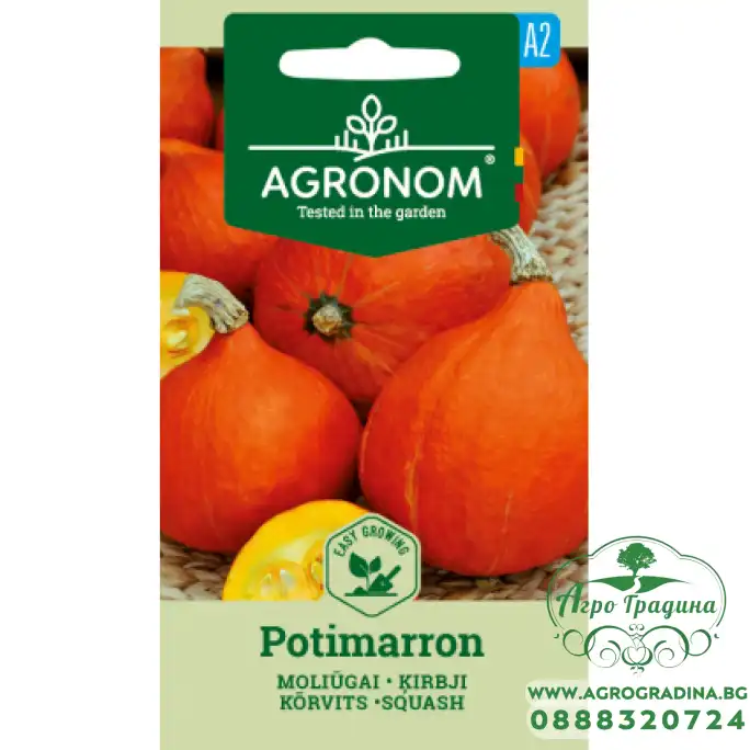 Тиква Потимарон / Potimarron