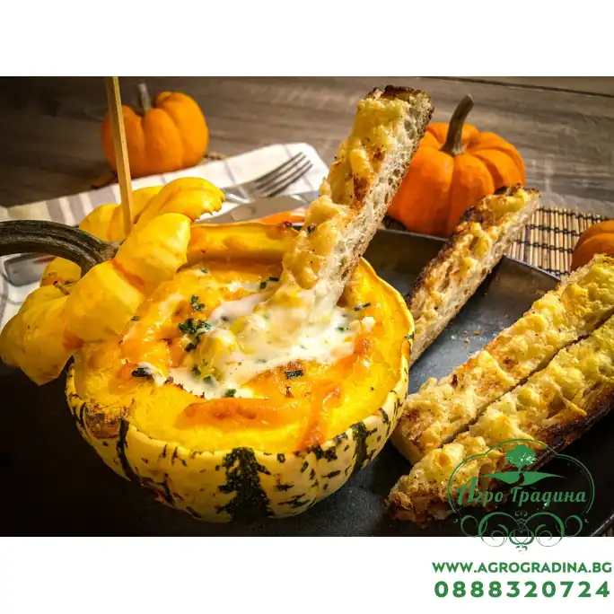 Тиква сладка Дъмплинг / Sweet Dumpling