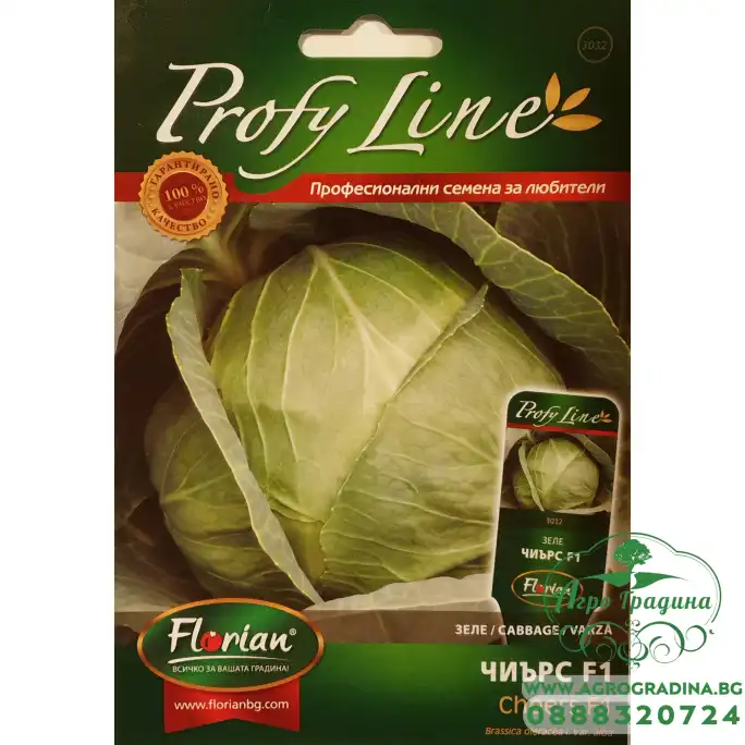 Зеле Чиърс F1