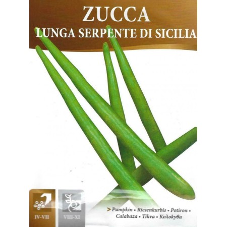 Семена за режещи се Тиквичка / Lunga serpentine di sicilia