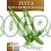 Семена за режещи се Тиквичка / Lunga serpentine di sicilia