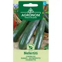 Тиквичка Нефертити Nefertiti