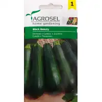 Тиквички Блек Бюти