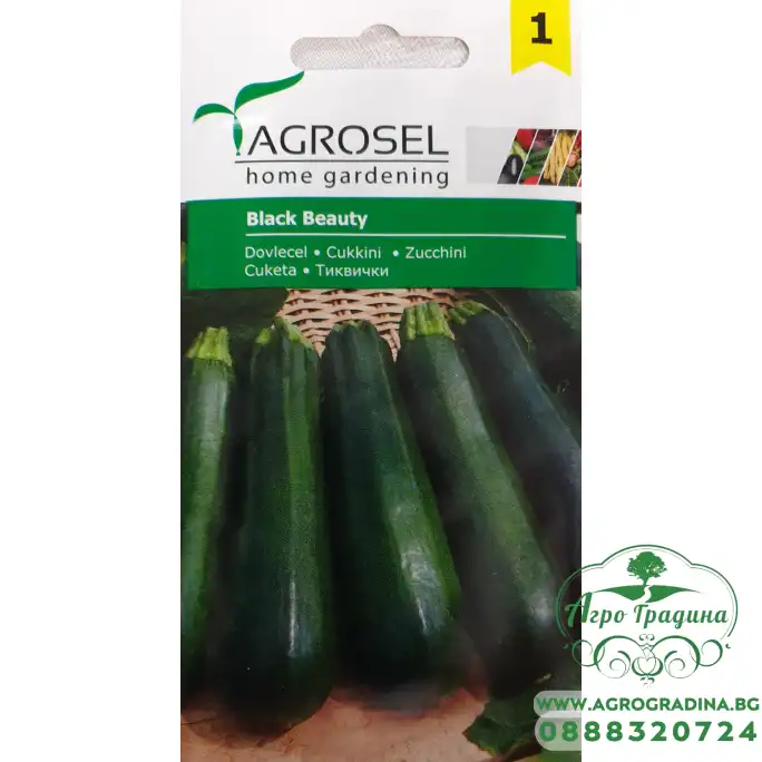 Тиквички Блек Бюти