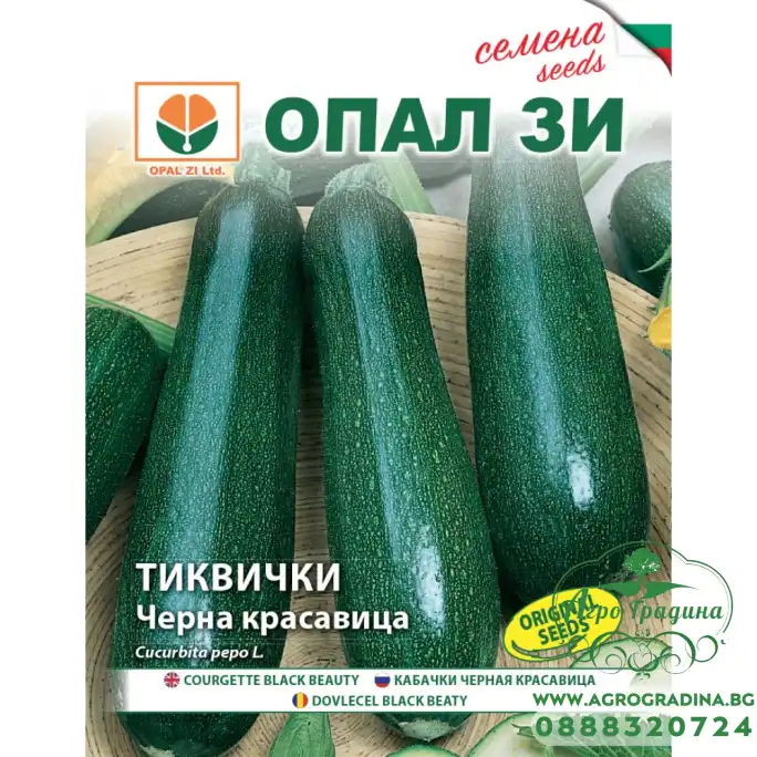 Тиквички Черна красавица