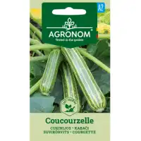 Тиквички Кокурзели Coucourzelle