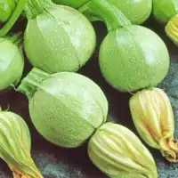 Тиквички Ди Ница Di Nizza