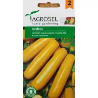 Тиквичка Жълта Goldena