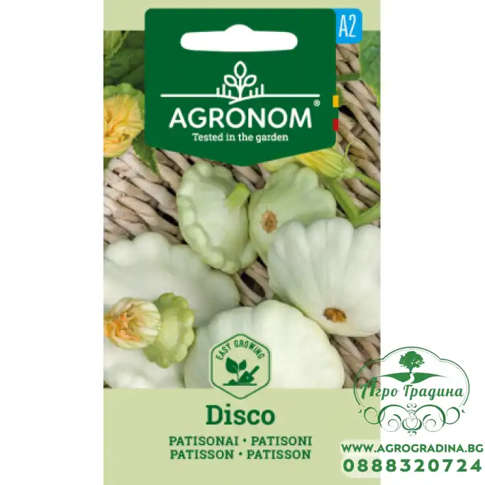 Тиквичка Патисон Бял Disko