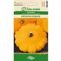 Тиквичка Патисон Оранжев
