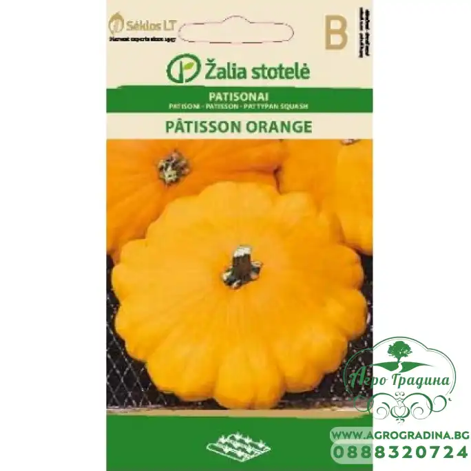 Тиквичка Патисон Оранжев