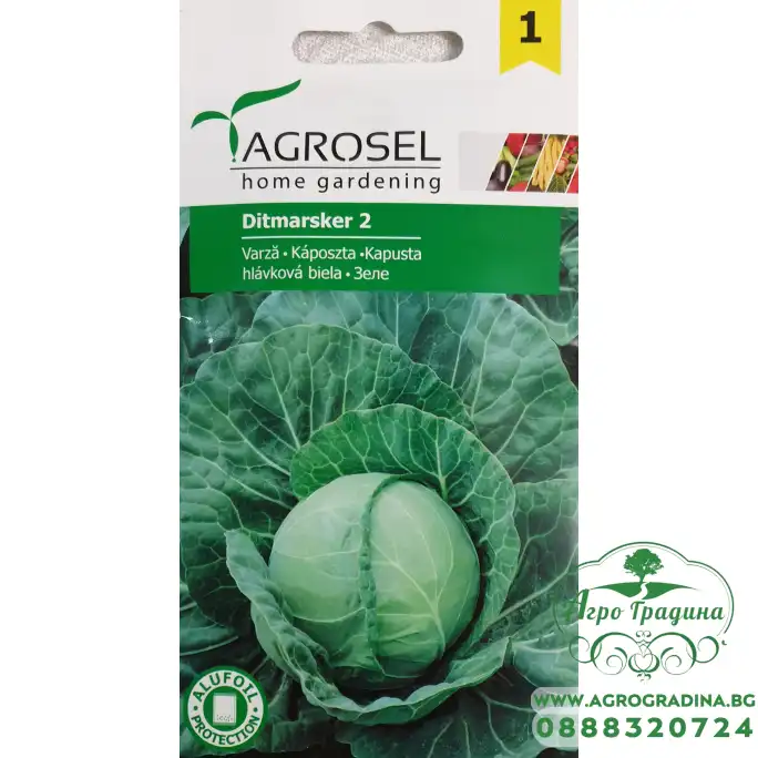 Зеле Дитмарско Ditmarsker 2