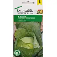 Зеле Бронсуик Brunswick