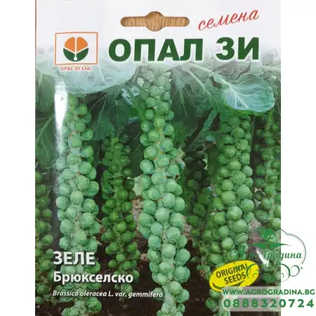 Брюкселско зеле