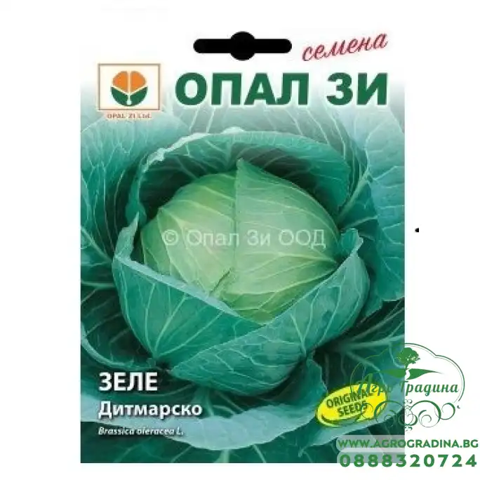 Зеле Дитмарско